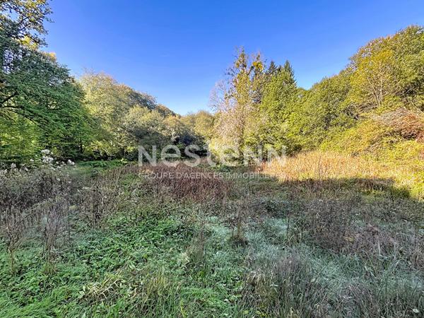 Parcelles naturelles et forestières attenantes à Naves - 25962 m2