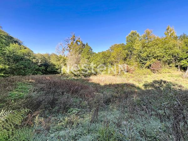 Parcelles naturelles et forestières attenantes à Naves - 25962 m2