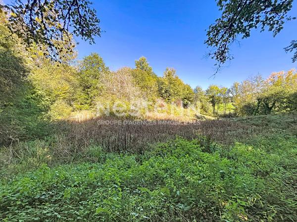 Parcelles naturelles et forestières attenantes à Naves - 25962 m2