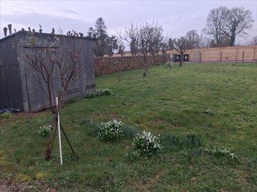 Maison à louer à Varenguebec dans la Manche (50250), ref : 50061-1092100