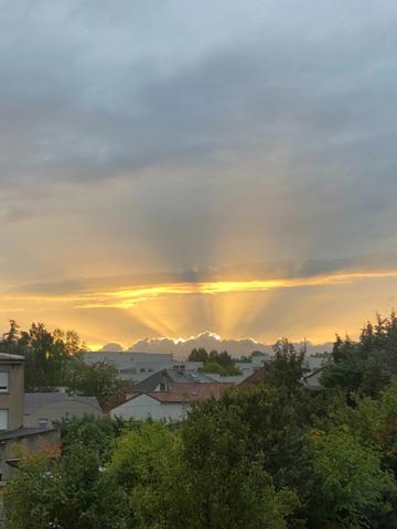 Coup de cœur – T2 Résidence Équinoxe THIONVILLE: confort, modernité et douceur de vivre !