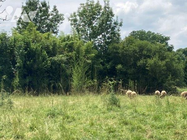 A VILLECOMTAL SUR ARROS, terrain constructible d'une contenance de 1700m².