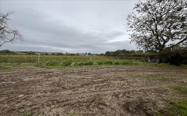 Terrain à vendre |  Saint-Quentin-de-Baron |  667 m²