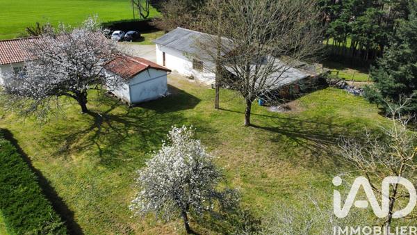 Maison à vendre 4 pièces 74 m² Chazelles