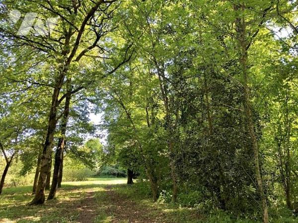 PARCE SUR SARTHE : PARCELLE BOISEE avec plan d'eau d'une surface 1ha06a10ca