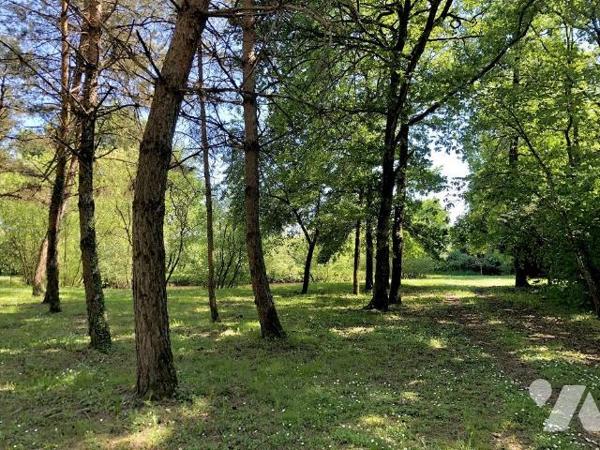 PARCE SUR SARTHE : PARCELLE BOISEE avec plan d'eau d'une surface 1ha06a10ca