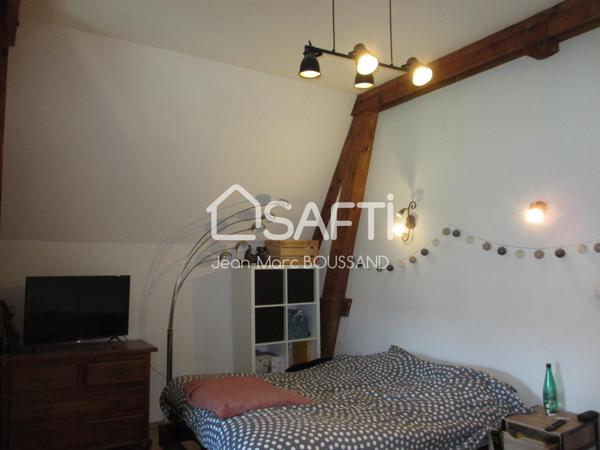 BELMONT DE LA LOIRE Maison de caractère 9 pièces