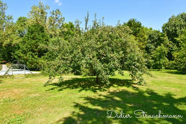 Maison à vendre 7 pièces AIGREFEUILLE D'AUNIS (17)