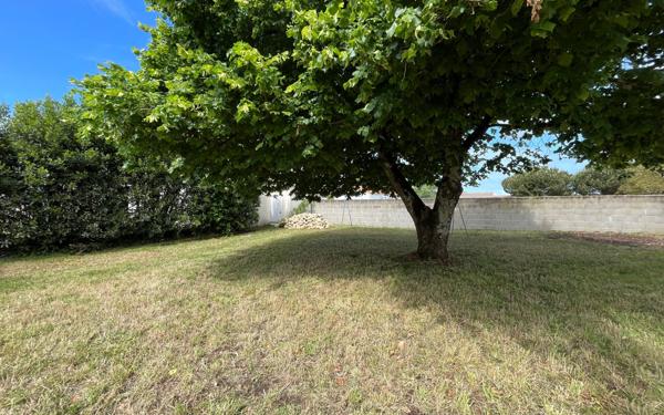 Terrain à vendre    Dolus-d'Oléron