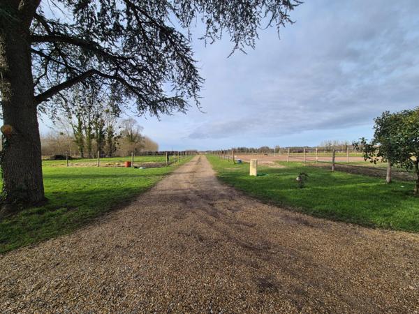 Propriété d'exception rénovée LUCHE PRINGE (72)