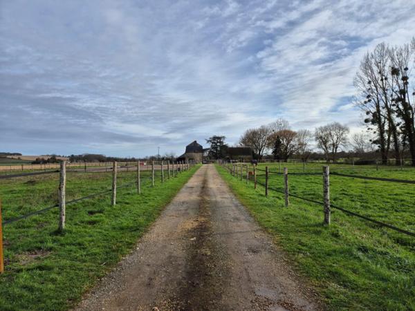 Propriété d'exception rénovée LUCHE PRINGE (72)