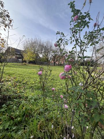 Vente / Corps de ferme
