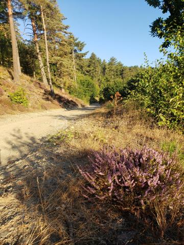 Maison de village de 42 m²