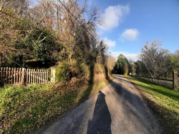 Achat - Terrain de loisirs, bois, étangs Saint-Épain 37800 5794 m 2