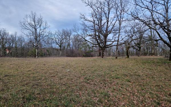 Terrain à vendre    Chasteaux