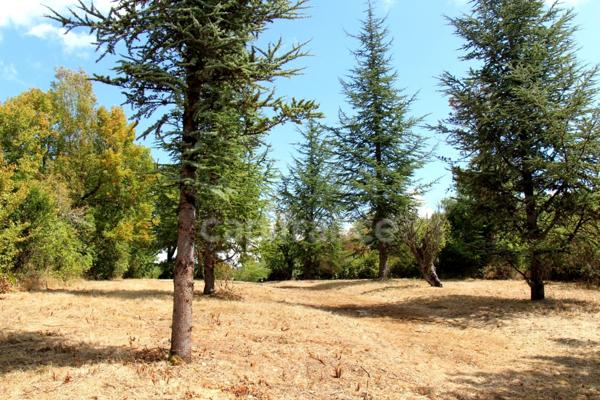 Propriété composée de deux jolies bâtisses en pierre (environ 800 m2 au total) à restaurer entièrement, à 7 km de Lectoure