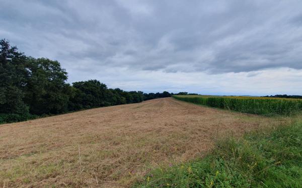 Terrain à vendre    Sault-de-Navailles