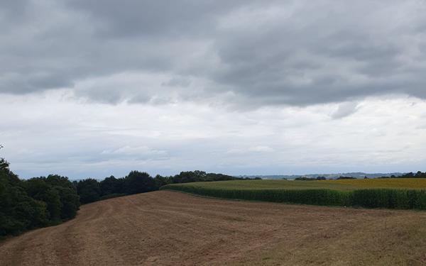 Terrain à vendre    Sault-de-Navailles