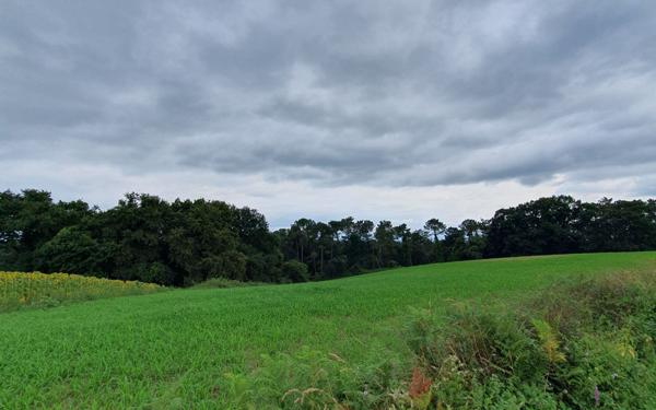 Terrain à vendre    Sault-de-Navailles