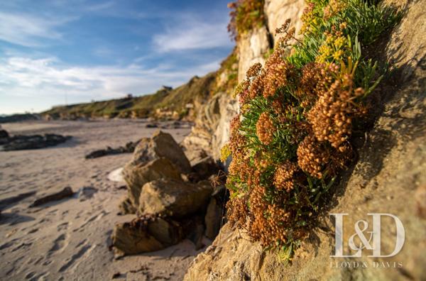 Maison Contemporaine avec piscine intérieure à Moëlan-sur-Mer