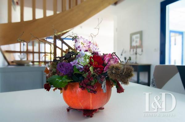 Maison Contemporaine avec piscine intérieure à Moëlan-sur-Mer