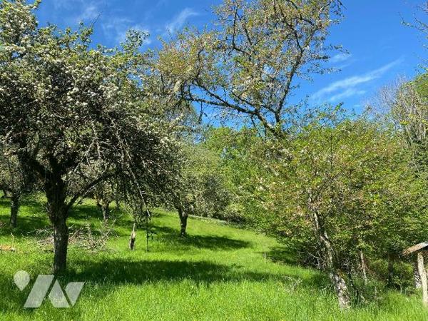 En plein c?ur du parc régional des Volcans, à 1h30 de route de CLERMONT-FERRAND, dans un villag...