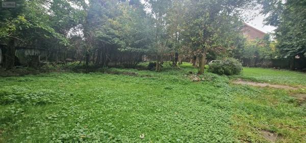 Achat - Maison Bruay-sur-l'Escaut 59860 7 pièces 171 m 2 900 m 2