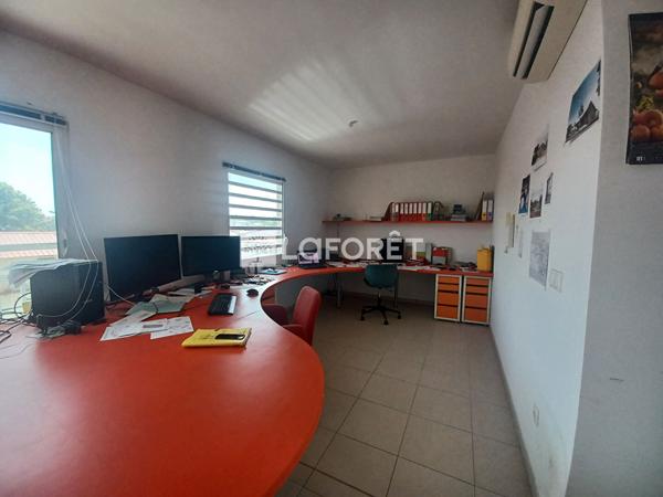 Location immeuble Cayenne - 14 pièce(s) - 524 m² - 9 842 €/mois