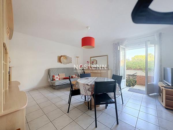 Appartement climatisé à 400m des plages Argeles Sur Mer 2 pièce(s) 49 m2