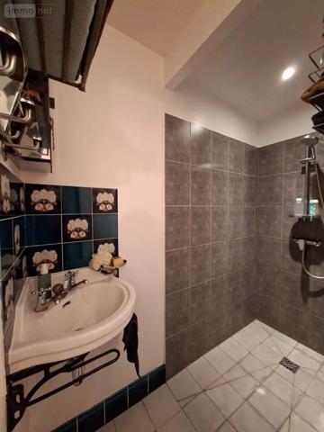 Achat - Maison | Maison de ville Saint-Amand-Montrond 18200 11 pièces 220 m 2 569 m 2