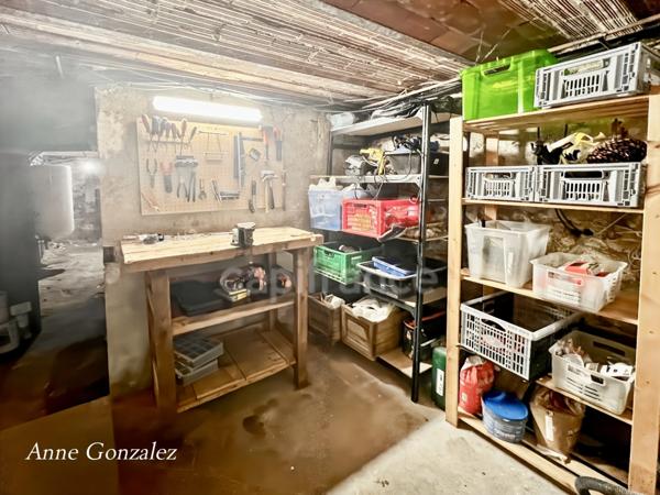 A vendre quartier Dauphine, superbe Maison Bourgeoise cinq chambres, jardin clos et arboré de 570m2 avec piscine récente