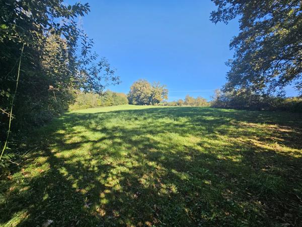 Vente Maison 7 pièces 138 m2 à Tournay