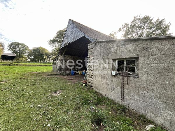 Longère à rénover, Elven, potentiel de 110 m² au sol sur 2500 m² de terrain.