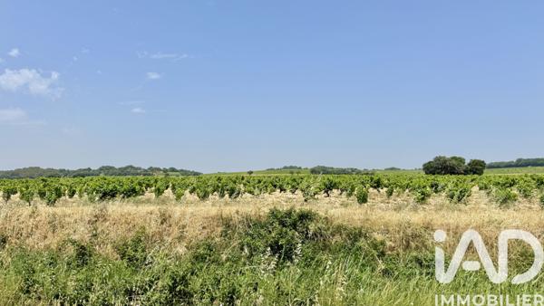 Terrain à vendre 650 m² Bédarrides