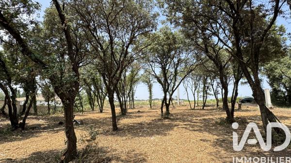 Terrain à vendre 650 m² Bédarrides