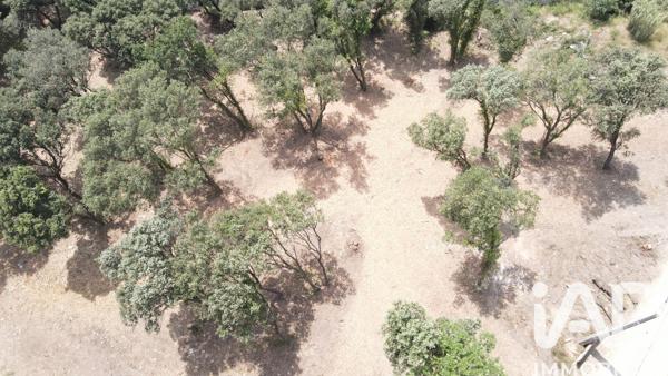 Terrain à vendre 650 m² Bédarrides