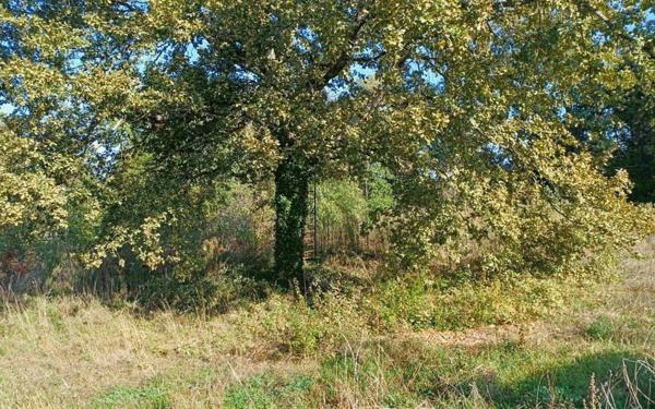 Terrain à vendre    Mussidan