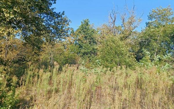 Terrain à vendre    Mussidan