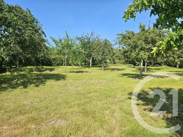 Terrain à vendre  1000 m2 DEAUVILLE - 14