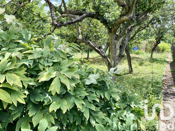 Maison à vendre 5 pièces 160 m² Athis-Mons