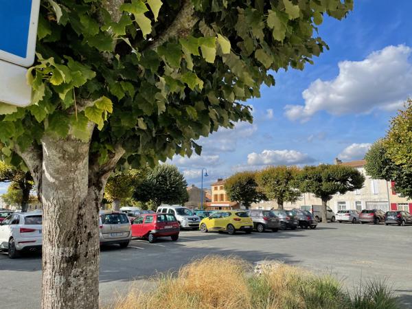 Commerce à vendre à Brioux-sur-Boutonne (79170) - Deux-Sèvres