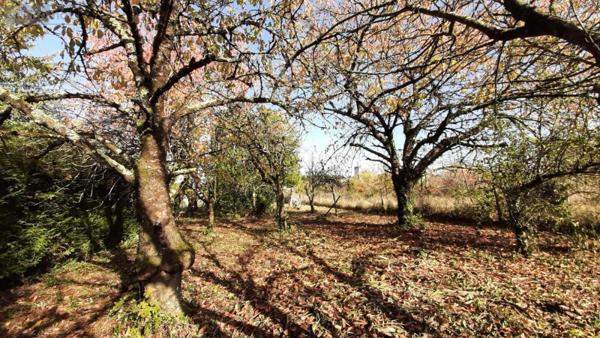 Terrain à Batir à vendre à L'Île-Bouchard dans l'Indre-et-Loire (37220), ref : 37060-2229