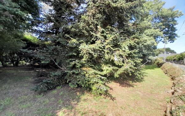 Terrain à vendre    La Turballe