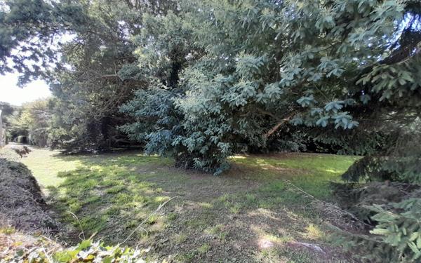 Terrain à vendre    La Turballe