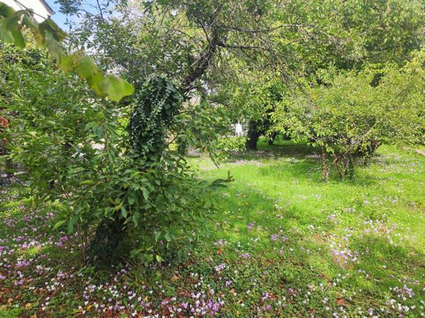 Sorigny (37250) Terrain à vendre SORIGNY