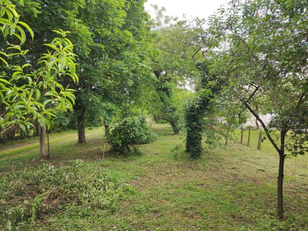 Sorigny (37250) Terrain à vendre SORIGNY