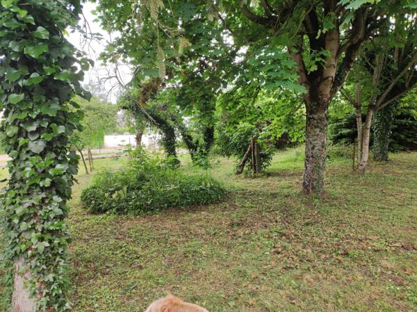 Sorigny (37250) Terrain à vendre SORIGNY