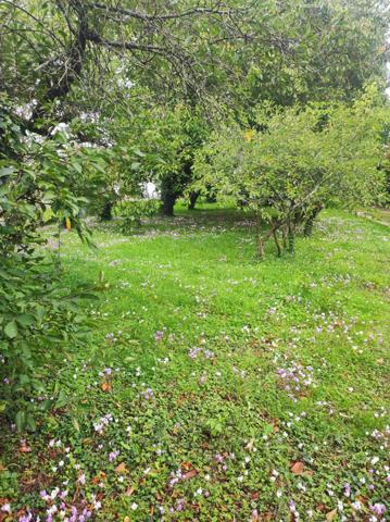 Sorigny (37250) Terrain à vendre SORIGNY