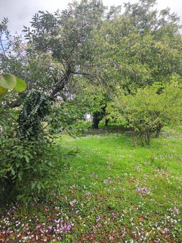 Sorigny (37250) Terrain à vendre SORIGNY