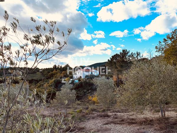 CERET : maison F8 (192 m²) à vendre